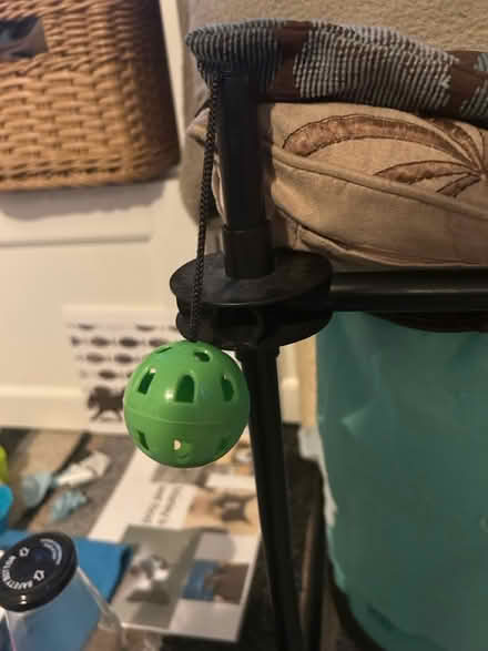 Photo of free Ball attachments for kitty city (Jennetts park RG12) #2