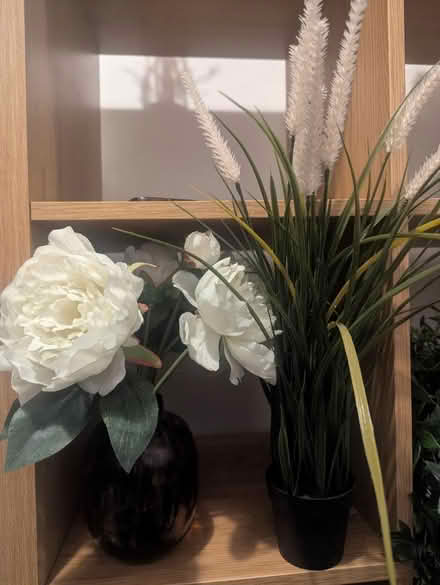 Photo of free Artificial plants (Wembley Park) #1