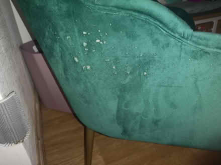 Photo of free Small green cocktail velour chair (Brighton Hill RG22) #2