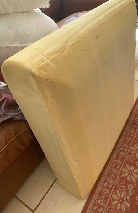 Photo of free Two large solid foam cushions (Cuxton ME2) #2