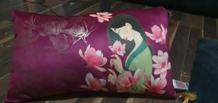 Photo of free Cushion (Chaddesden DE21) #1