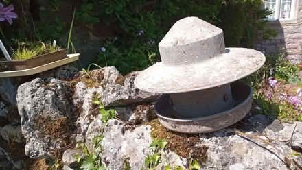 Photo of free Poultry feeder (Stainton CA11) #1