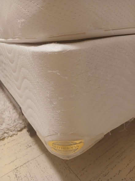 Photo of free Queen size mattress and box (North Atlanta, GA) #2