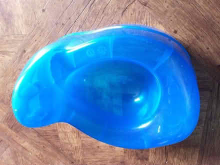 Photo of free Blue potty (Farmoor OX2) #1