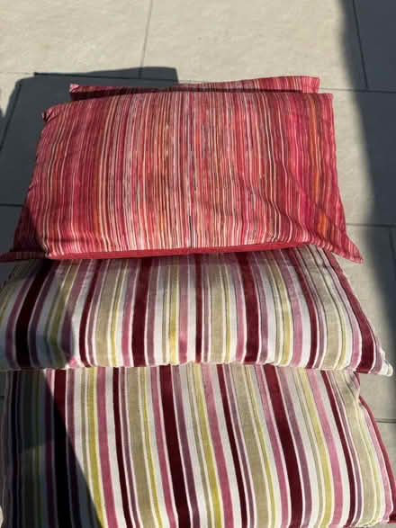 Photo of free Selection of cushions (Billericay CM11) #4