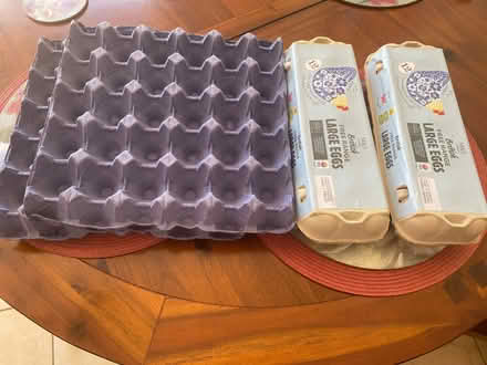 Photo of free Egg trays and egg boxes (Cuxton ME2) #1