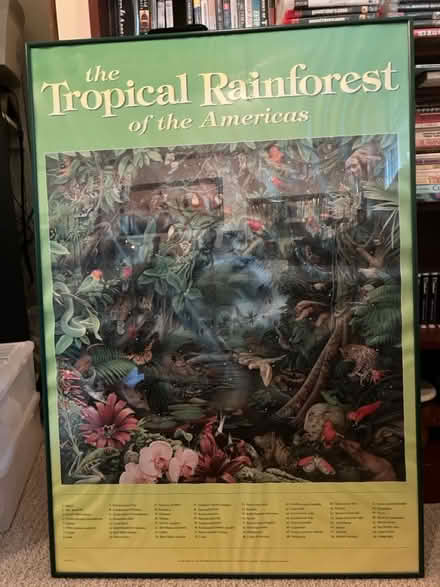 Photo of free Tropical Rainforest framed poster (Stow) #1