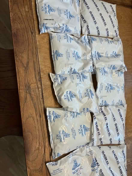 Photo of free cold packs: picnics or camp crafts (village of pelham) #1