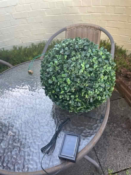 Photo of free Small fake bush (St Peter’s, Newcastle, NE6) #1