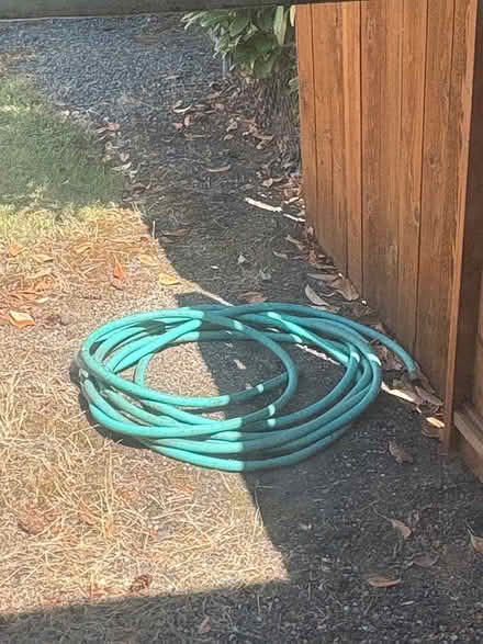 Photo of free Garden hose (East Medford) #1