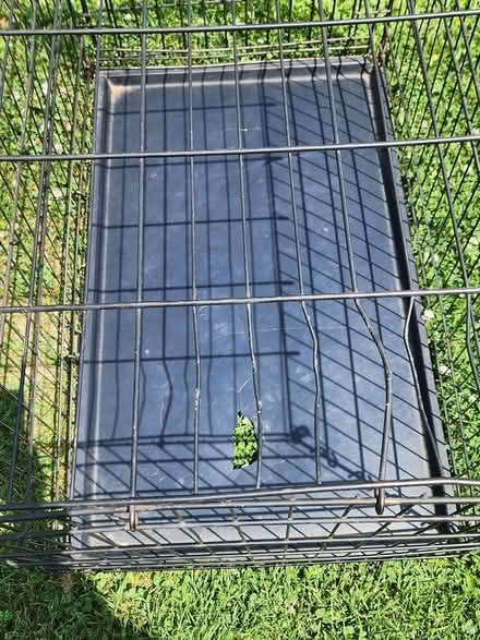 Photo of free Large wire dog crate (virgil) #2