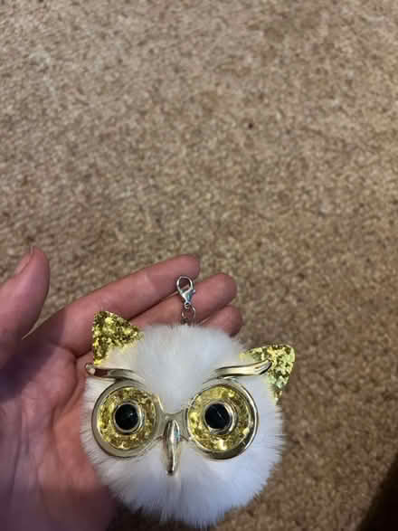 Photo of free Owl keychain (Frilford OX13) #1