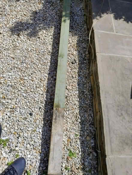 Photo of free Tall garden post (Crookes S10) #1