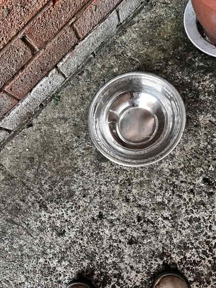 Photo of free Dog bowls round metal. (Farndon CH3) #1