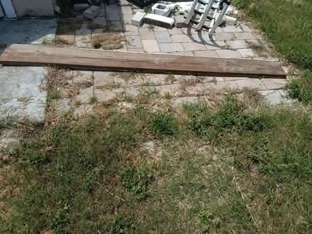 Photo of free Pressure treated wood (Largo near Ulmerton & Starkey) #1