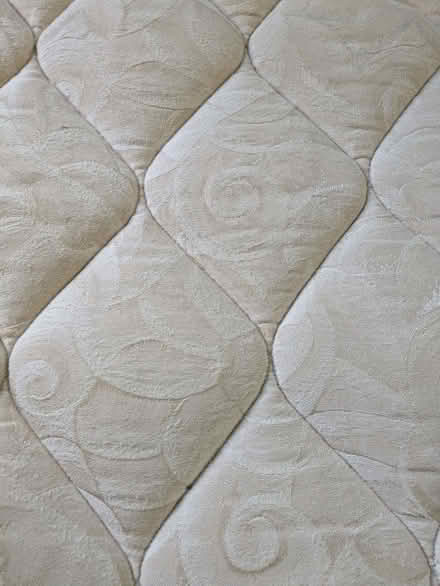Photo of free water bed (central Phoenix) #2