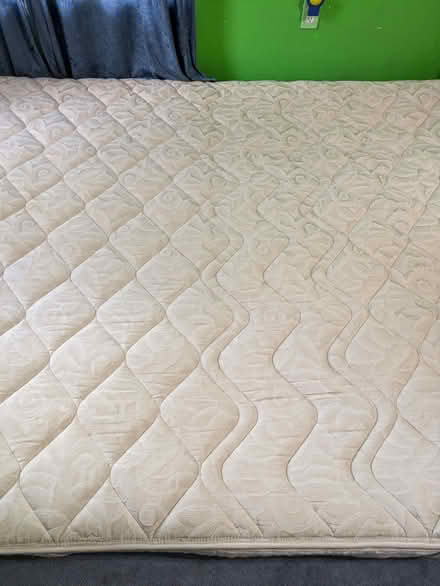 Photo of free water bed (central Phoenix) #1