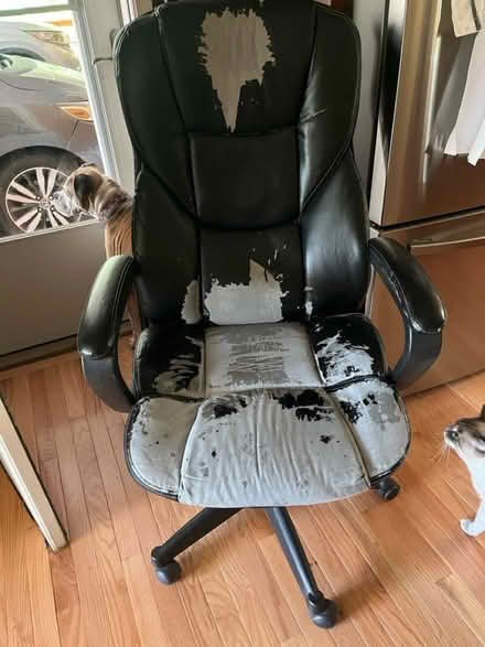 Photo of free Rolling office chair (Cleveland) #1