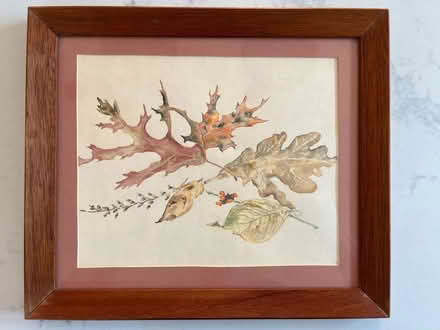 Photo of free Watercolor leaves (Telegraph & Ashby in Berkeley) #1
