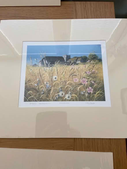 Photo of free Mounted prints (Keynsham) #3