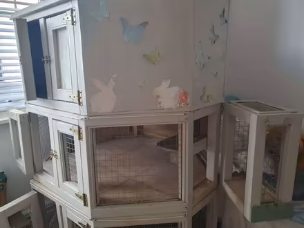 Photo of free 3 tier rabbit hutch (Southport PR8) #3