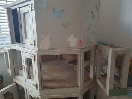 Photo of free 3 tier rabbit hutch (Southport PR8) #3
