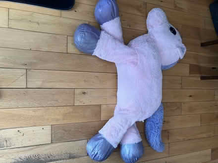 Photo of free Very large furry pink toy (Dagenham RM10) #1