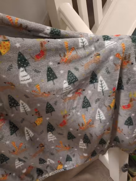 Photo of free Christmas themed fleece blanket (Edinburgh EH11) #1