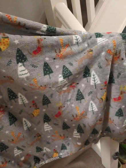 Photo of free Christmas themed fleece blanket (Edinburgh EH11) #1