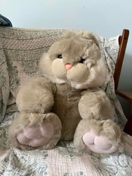 Photo of free Stuffed Bunny (Etobicoke) #2