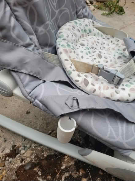 Photo of free Bouncer baby (Harpenden batfor) #4