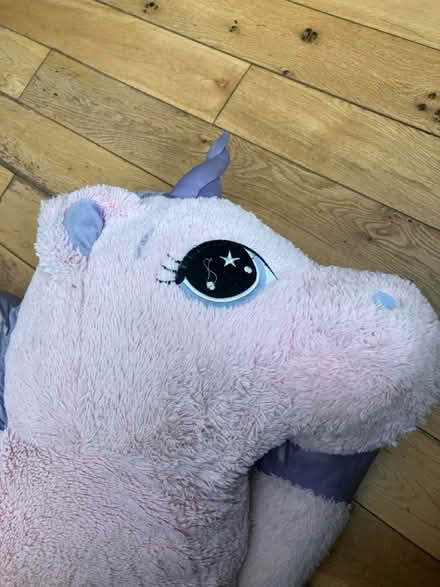 Photo of free Very large furry pink toy (Dagenham RM10) #3