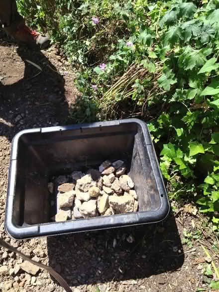 Photo of free Hardcore (Wallands Park BN7) #1