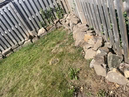 Photo of free Rockery Stone (Wombwell S73) #1