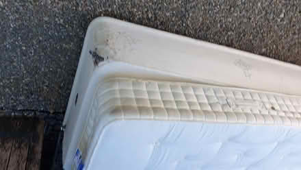 Photo of free 2 x Single divans with mattresses (Maesbrook SY10) #3