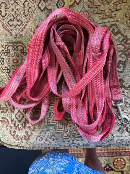Photo of free Red long dog training lead, frayed at edges still useable (Eastbourne BN20) #1