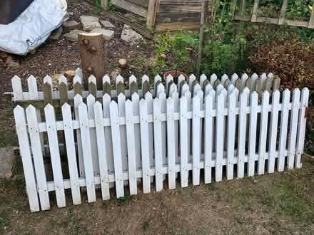 Photo of free Picket Fencing (Northchurch HP4) #1