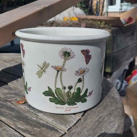 Photo of free Portmeirion Planter Botanic Garden (Jesmond Park East NE7) #1