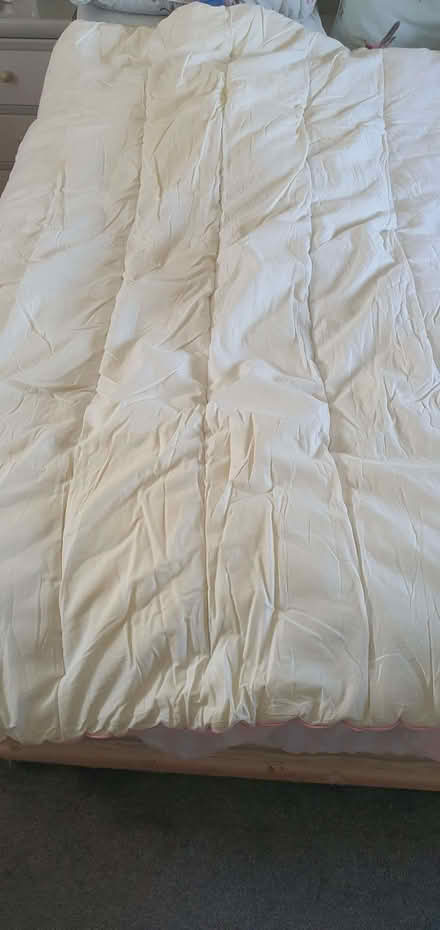 Photo of free Duvets and Pillows (Helpringham NG34) #1
