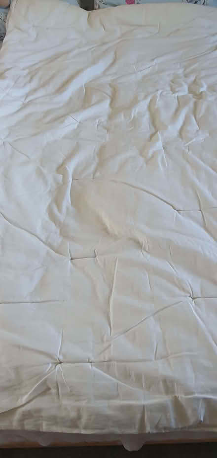 Photo of free Duvets and Pillows (Helpringham NG34) #4