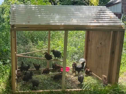 Photo of Plastic corrugated roof panels (Shepherdstown, WV) #2