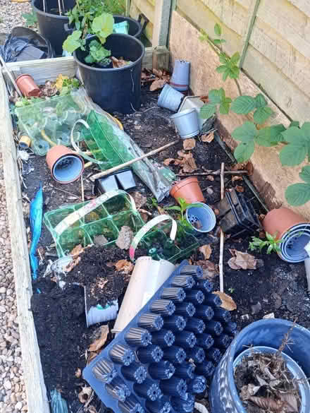 Photo of free Seed trays and plant pots (Chorlton Manchester) #2
