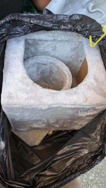 Photo of free Large cat tree (Loughton IG10) #1