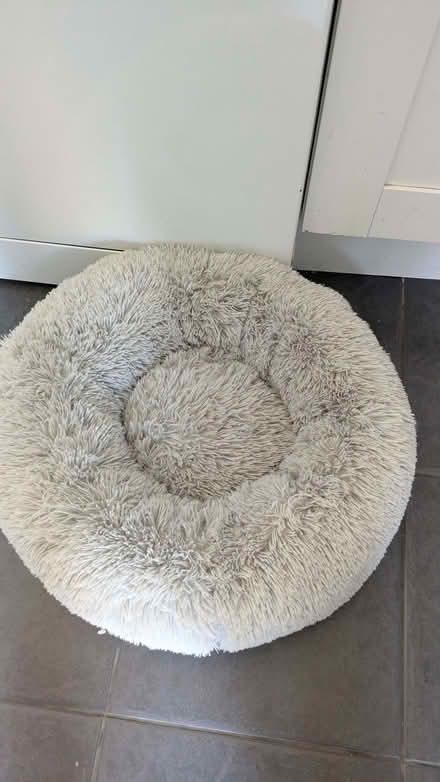 Photo of free Cat bed (Loughton IG10) #1
