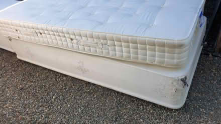 Photo of free 2 x Single divans with mattresses (Maesbrook SY10) #4
