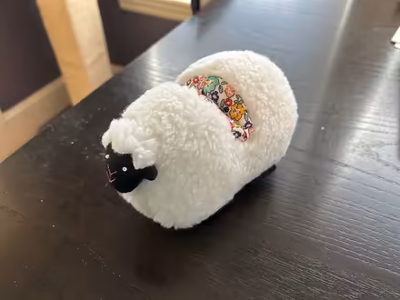 Photo of free Cute sheep holder (Near Union Square) #1