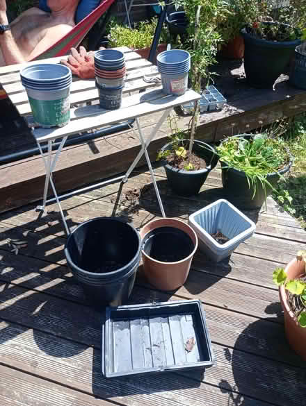 Photo of free Seed trays and plant pots (Chorlton Manchester) #1