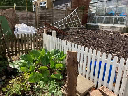 Photo of free Picket Fencing (Northchurch HP4) #2