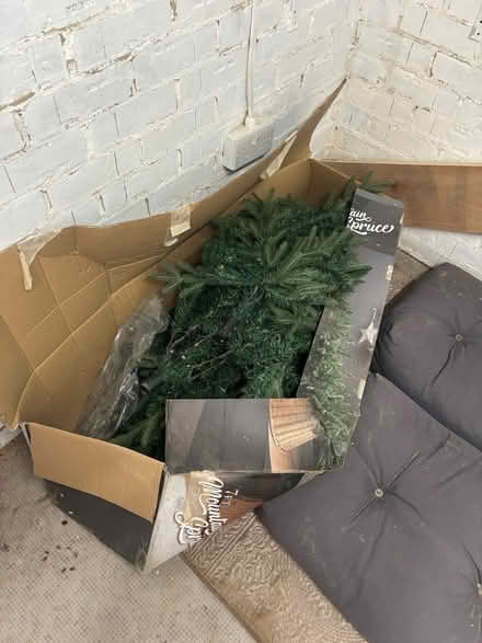 Photo of free Christmas Tree (Swillington, LS26) #1