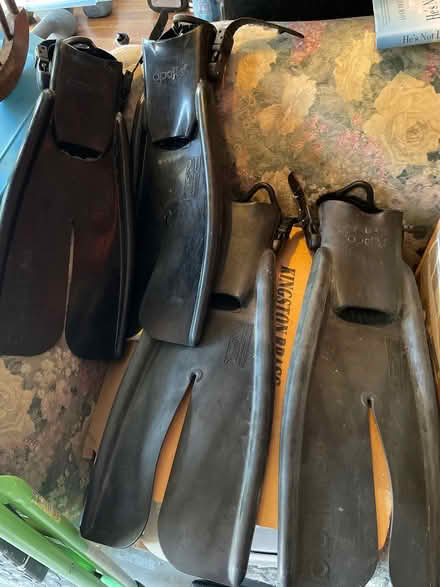 Photo of free Fins for snorkeling/scuba diving (East Riverside Drive Area) #1